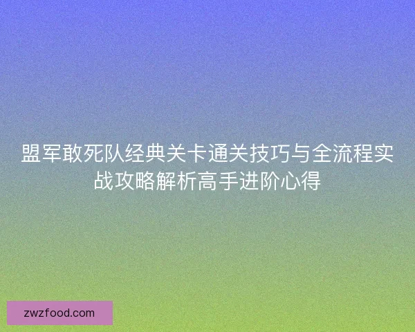 盟军敢死队经典关卡通关技巧与全流程实战攻略解析高手进阶心得